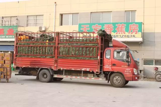 逛水果批发市场拿货,山东十大水果批发市场