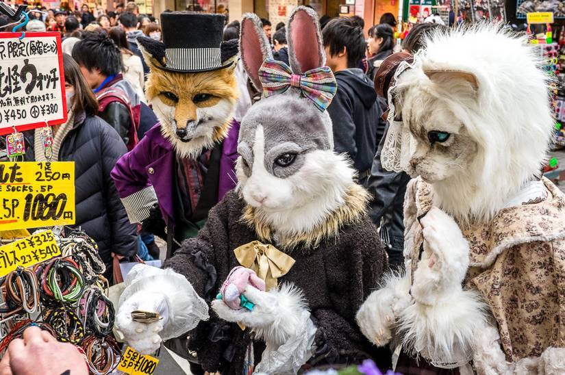 日元跌了,日元跌到多少适合入手