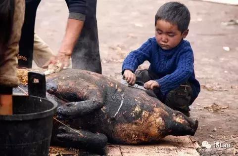 彝族特色菜肴坨坨肉图片,彝族特色酒