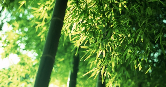 村里傻子突犯疯病,强抢4岁女孩入山却救全村性命