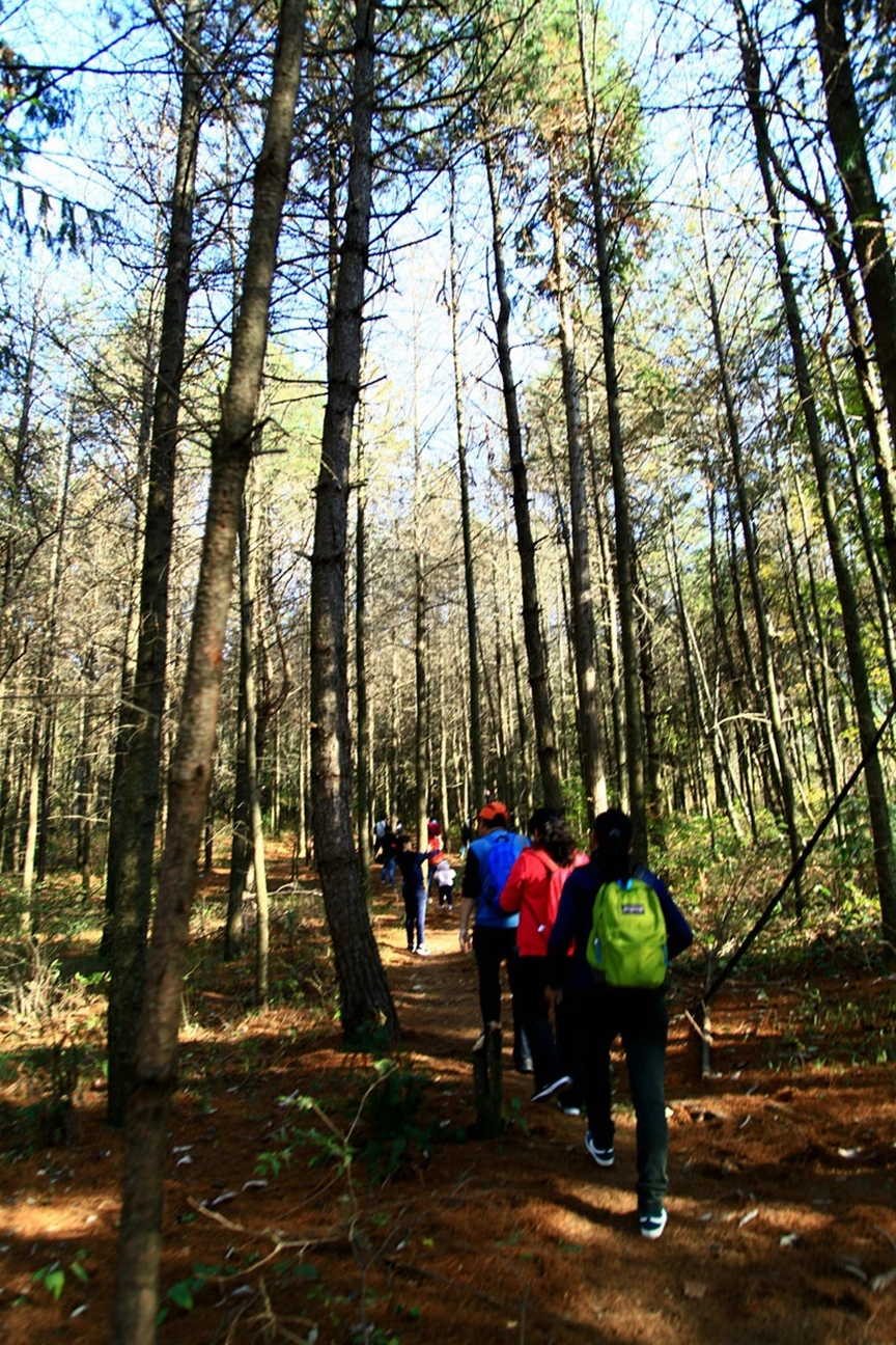 斯巴鲁车主探险,斯巴鲁适合自驾游
