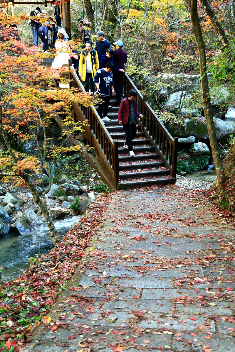 斯巴鲁车主探险,斯巴鲁适合自驾游