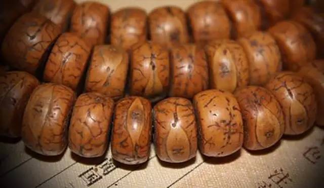 凤眼菩提避坑之难,凤眼菩提的知识