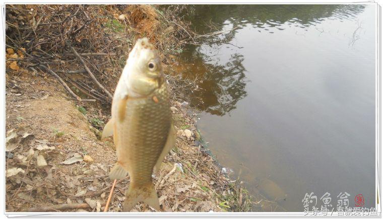 两钓一闲水凑成一个发