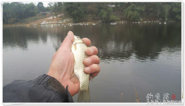 两钓一闲水凑成一个发