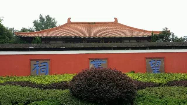 郫县豆瓣现状,郫县豆瓣有什么特别之处