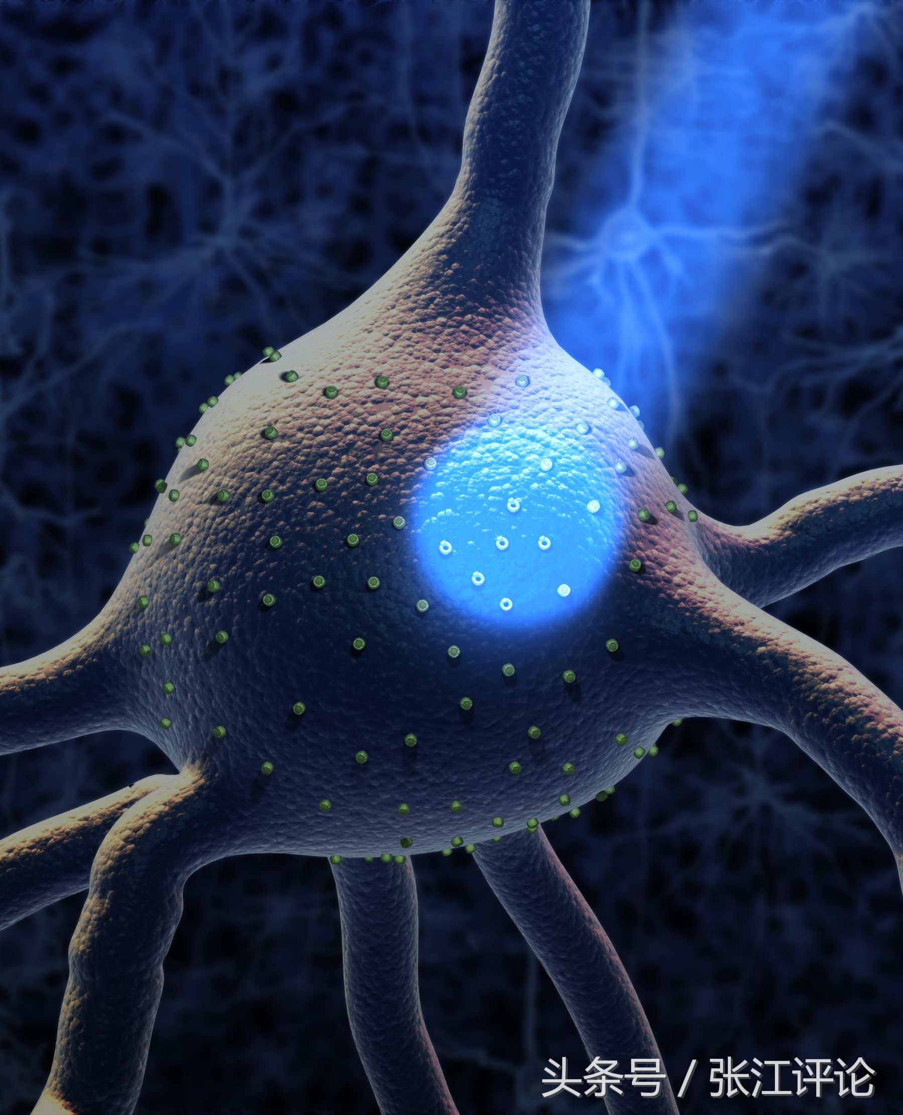 光遗传学治疗视网膜色素变性,光遗传学的应用