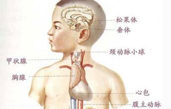 甲状腺囊肿和甲状腺结节的区别,甲状腺结节胶质囊肿怎么治疗呢