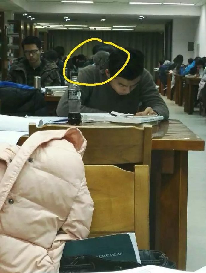 狗狗吃火锅,宠主给挑食柴犬吃零食