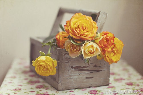 涂磊的经典语录抖音,涂磊的经典语录