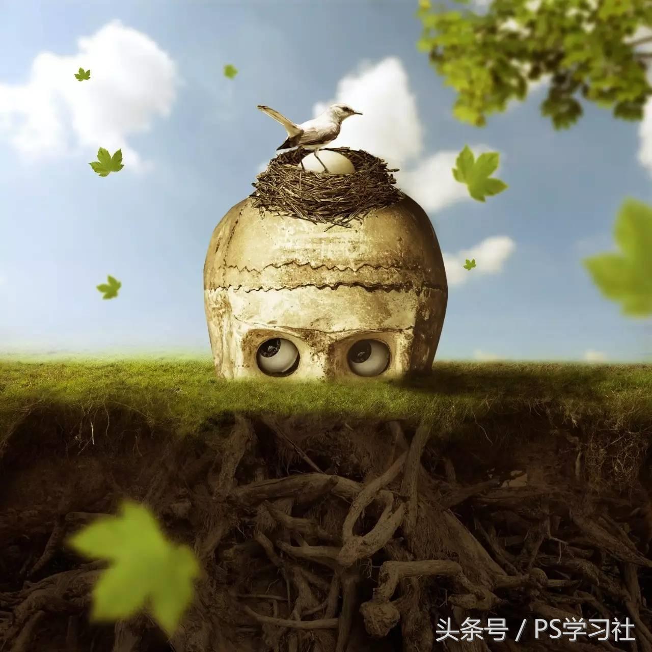 photoshop入门教程零基础,photoshop基础教程送给新手