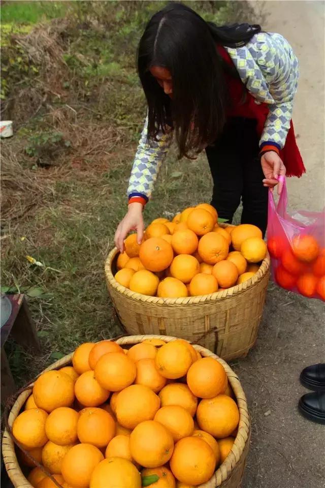 推荐一处常宁美景或一种常宁美食,常宁有哪些好看的风景区