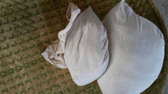 信阳毛尖制作全过程图,信阳毛尖的制作过程