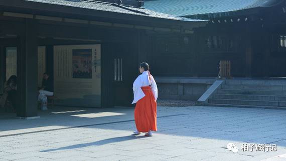 樱花旅行记全集视频,樱花季日本14天旅游攻略