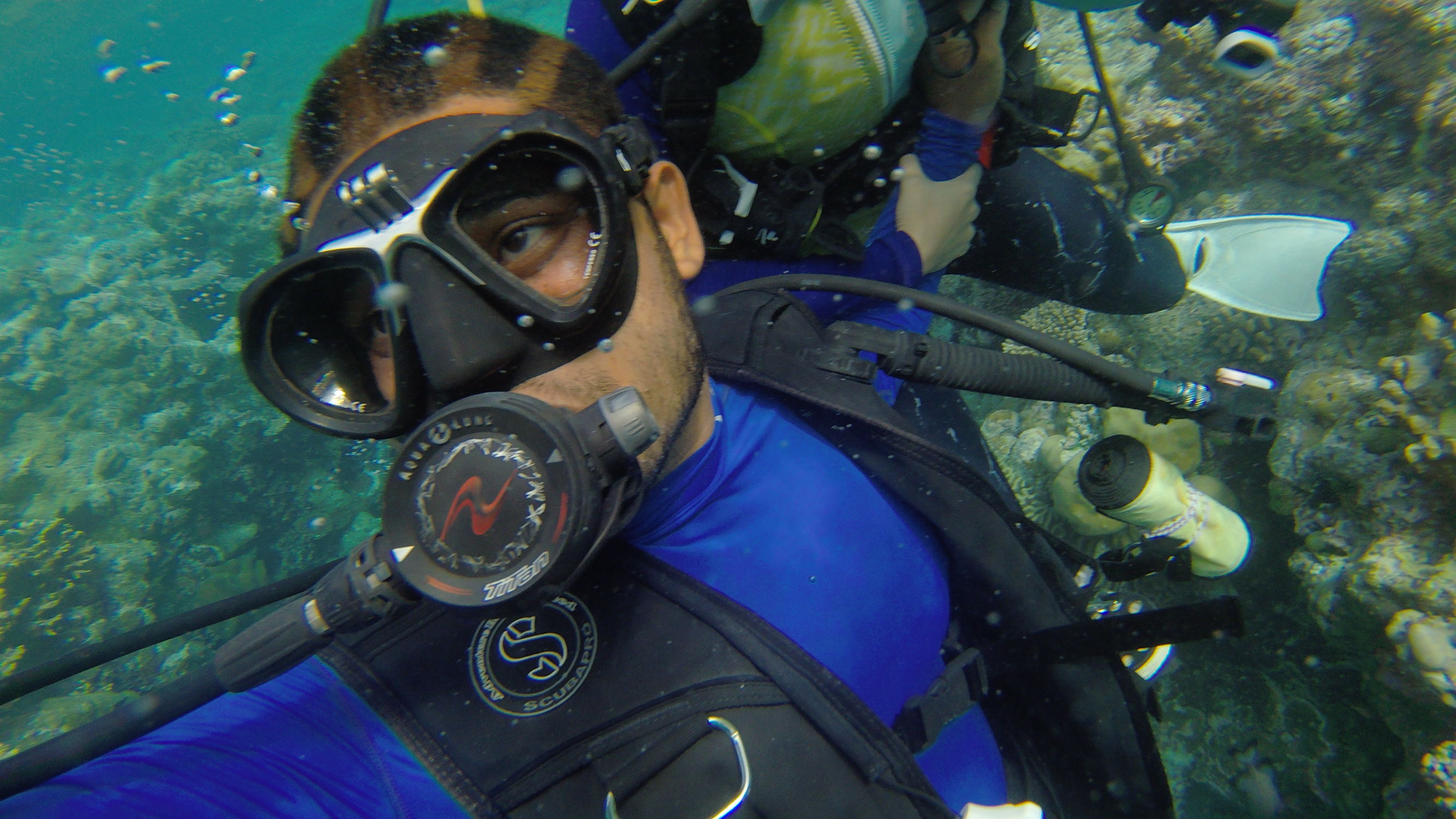 Mini帕劳,有片伟大的海洋(一)