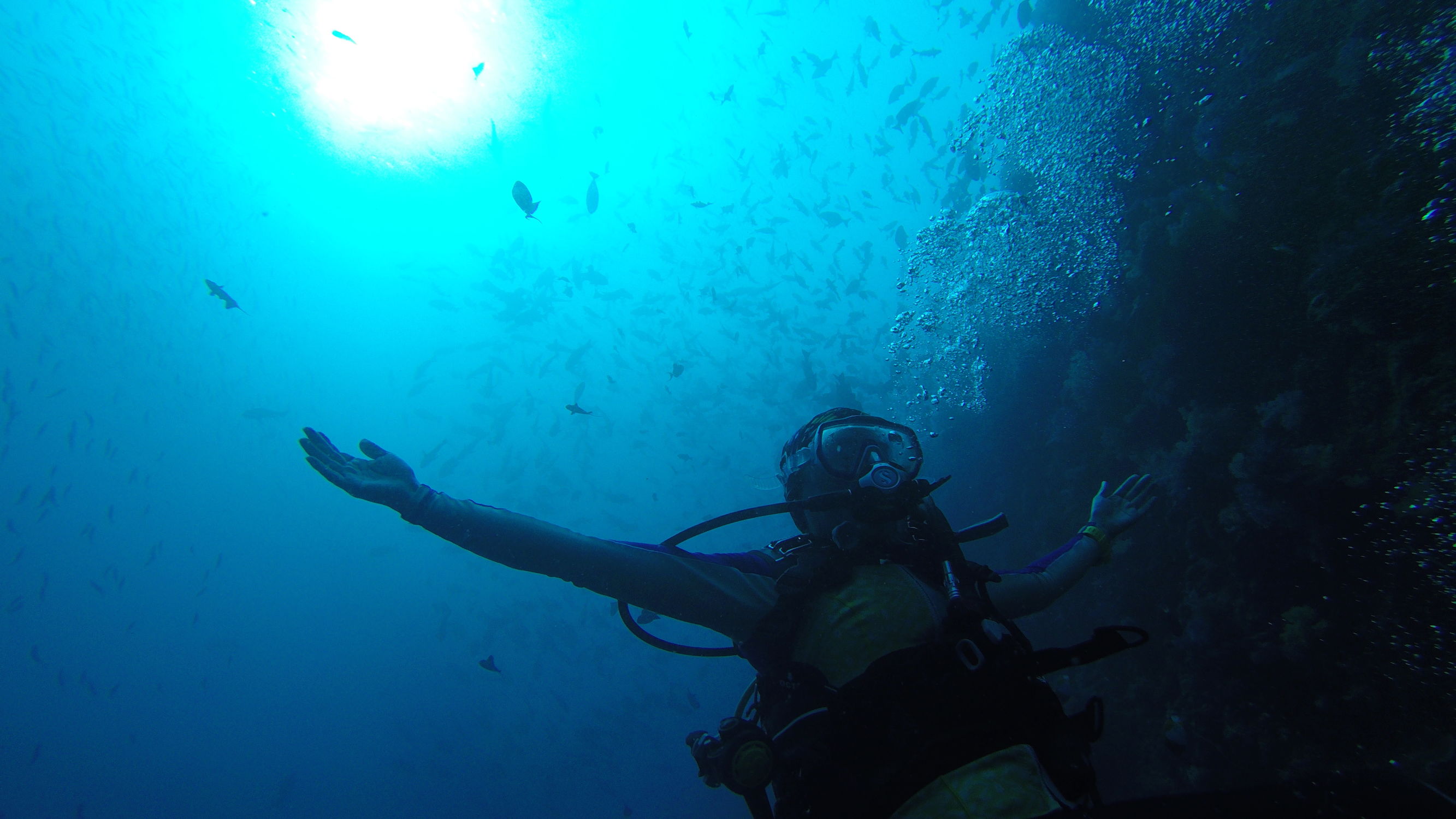 Mini帕劳,有片伟大的海洋(一)