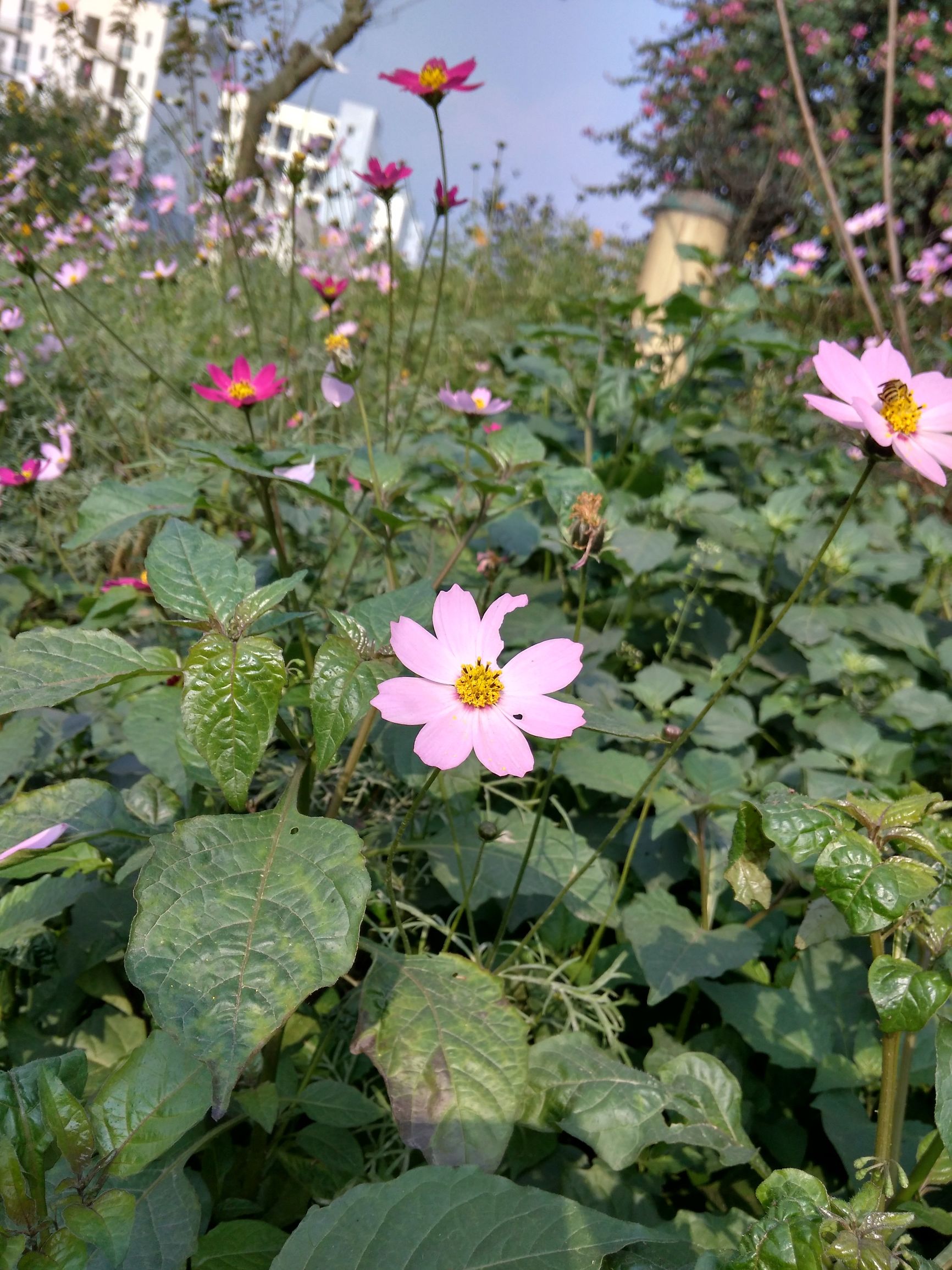 小米4a深度评测,小米红米4A评测还能打游戏吗