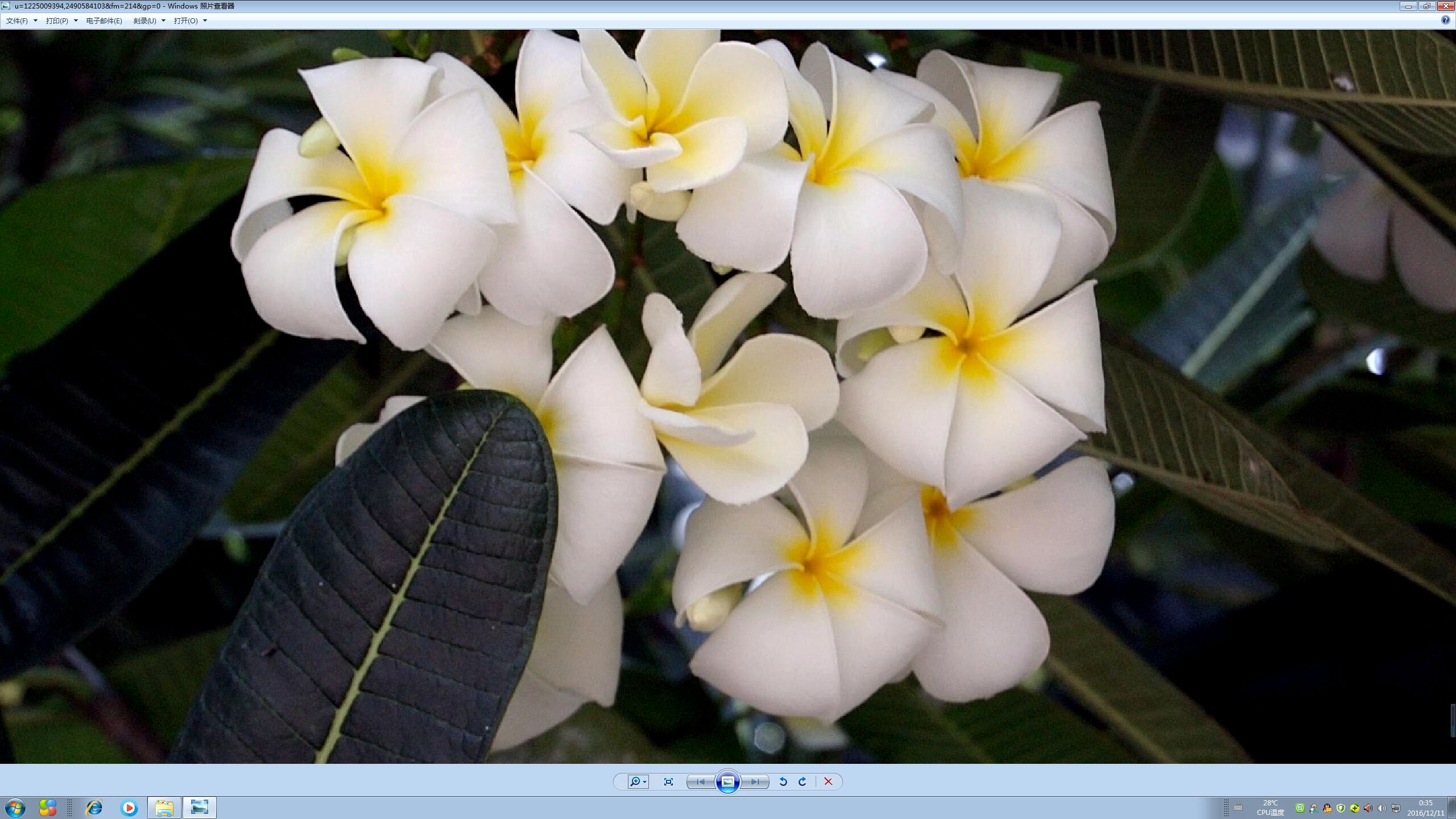 32寸2k屏幕很差吗,32寸2k屏有哪些