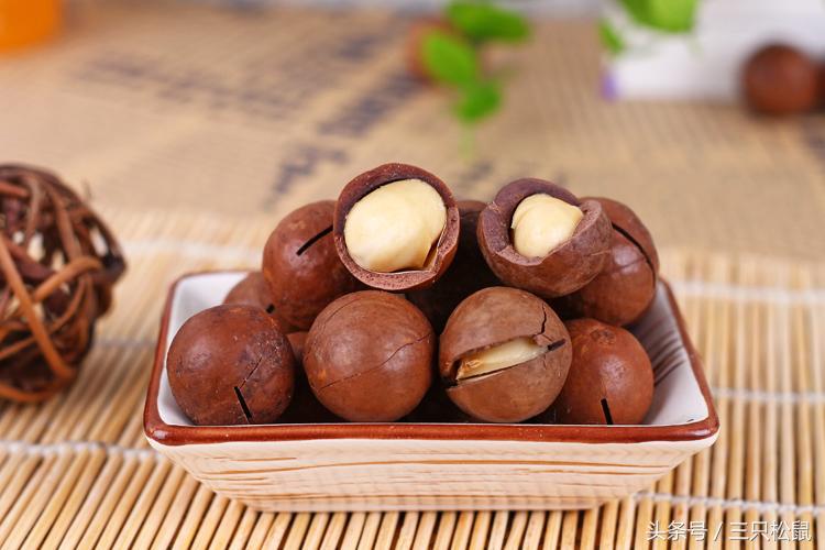 夏威夷果生果和干果的区别,夏威夷果是怎么来的