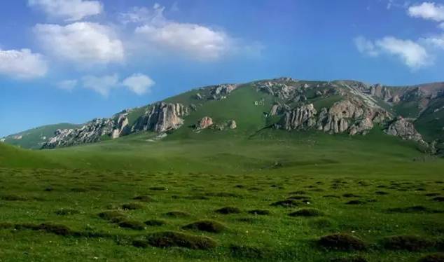 各个省份选美大赛,甘肃选美大赛冠军