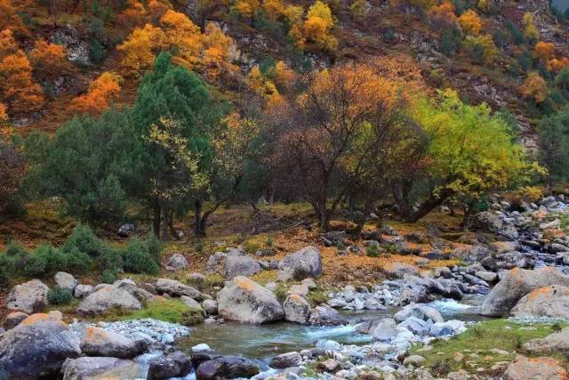 各个省份选美大赛,甘肃选美大赛冠军