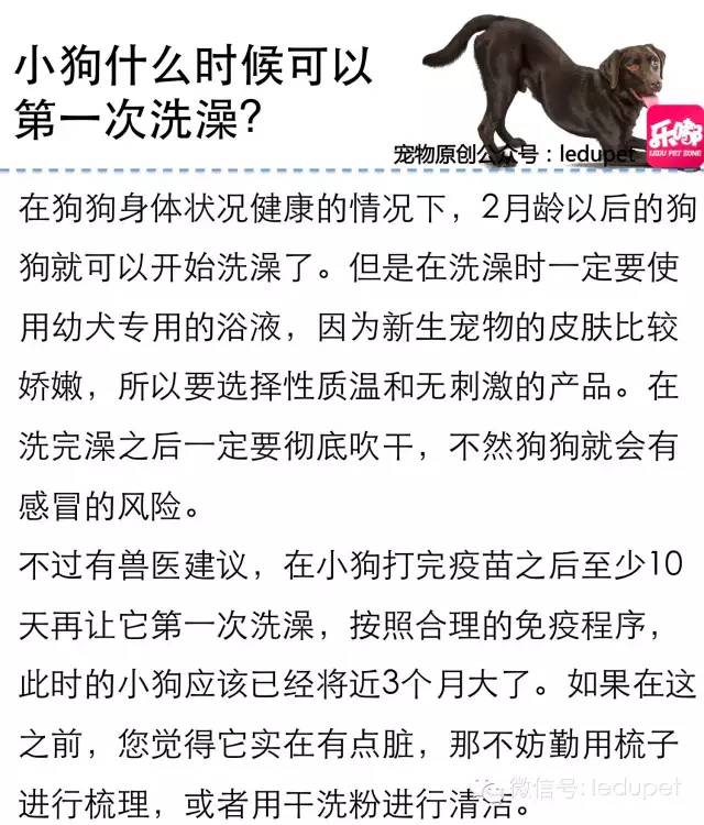 狗狗剪指甲总流血止不住怎么办,狗狗剪指甲流血沾了水怎么办