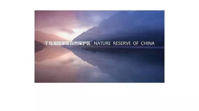 ppt留白设计的功能,ppt版式构图