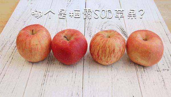 为什么说一日一苹果,一日一个苹果好处