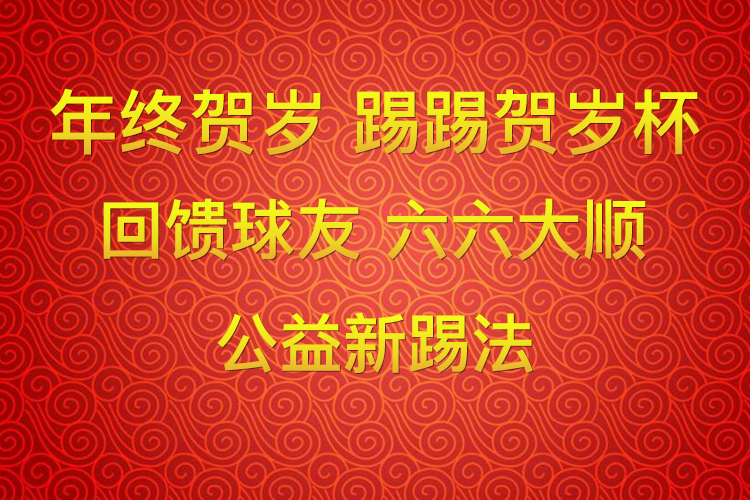 贺岁杯国际青少年足球交流赛,贺岁杯足球