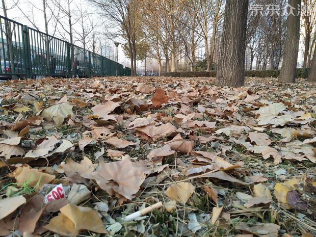 vivox9测评体验,vivox9测评视频