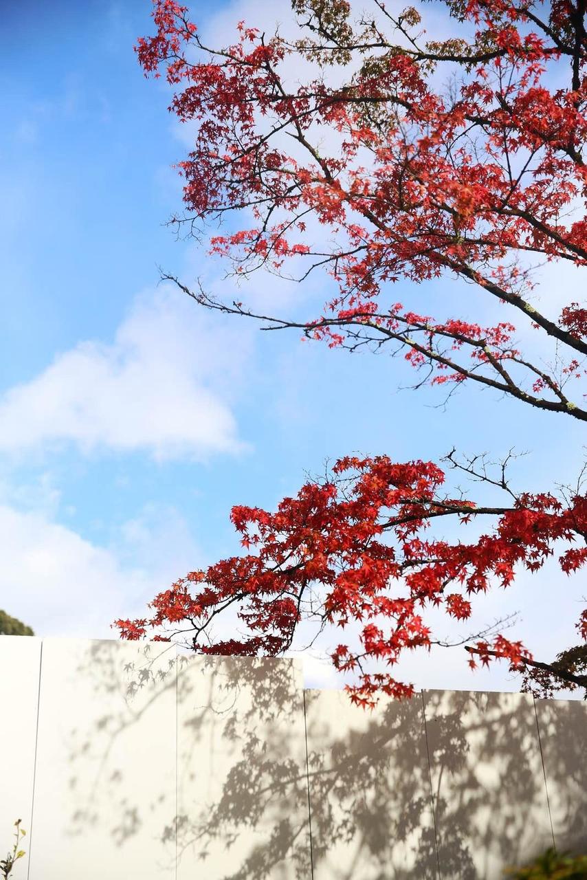 日本关西温泉圣地,日本关西房间内温泉