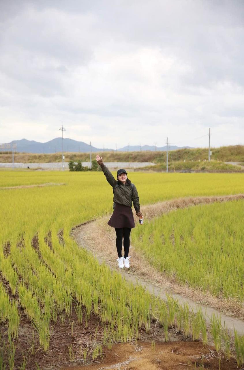 日本关西温泉圣地,日本关西房间内温泉