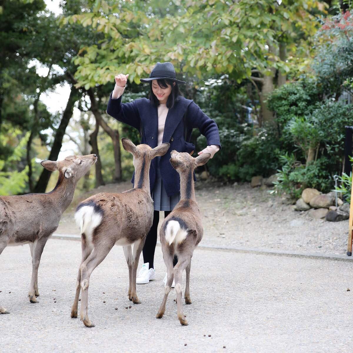 日本关西温泉圣地,日本关西房间内温泉