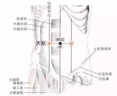 小儿腹泻推拿哪几个穴位最管用,宝宝腹泻灸哪里