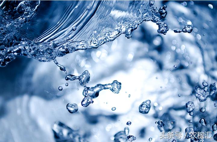 五常水稻种植成本与利润,五常种水稻优势