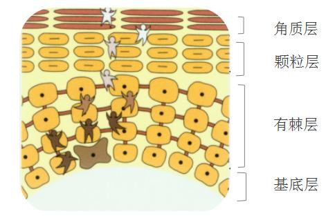 脸上长色斑怎么解决,毛孔粗大色斑多怎么解决