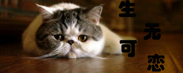 没银子买新游,不如掏出《饥荒》开个黑?