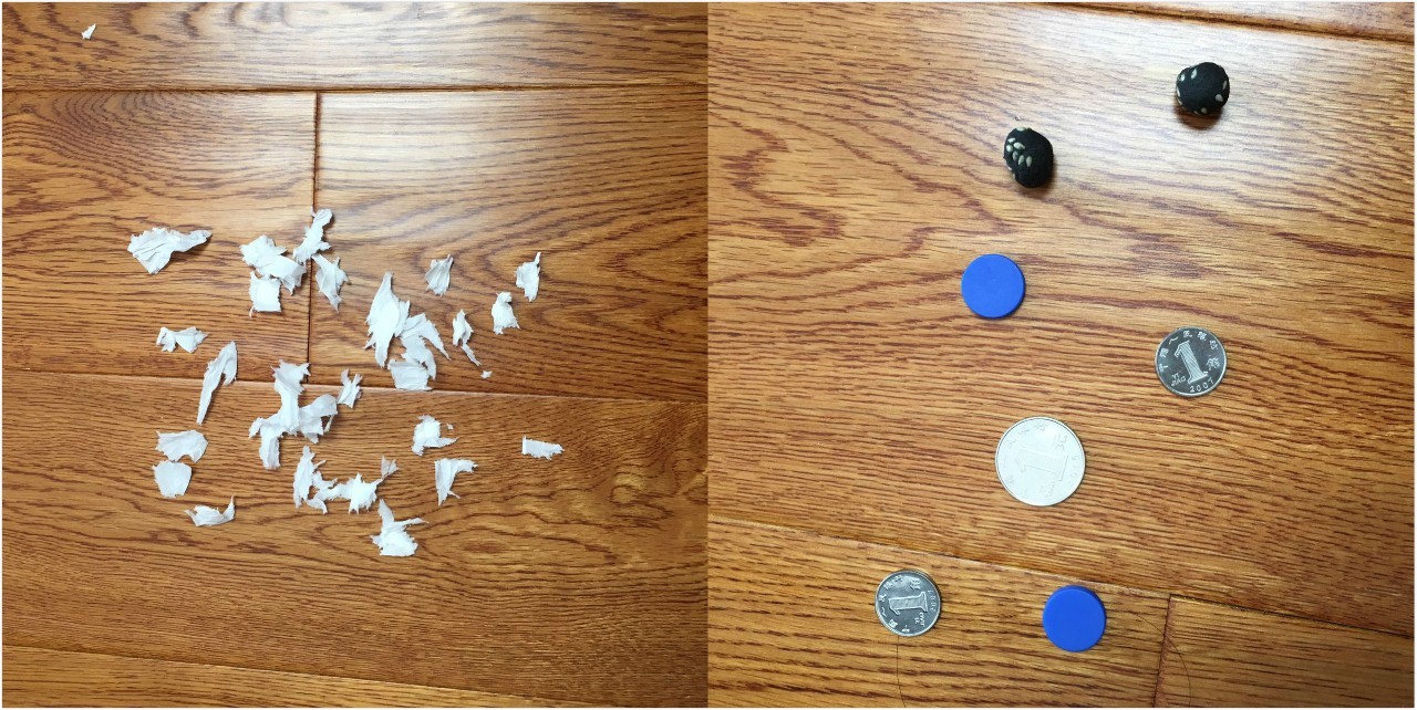 智能吸尘器中的劳斯莱斯,吸尘器界劳斯莱斯