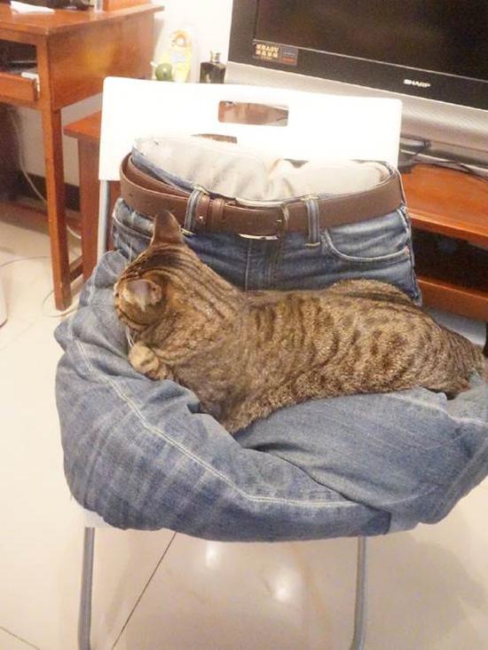 我的头盔百分百回头率!哥就这么自信!