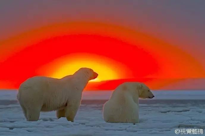 微观茶市丨平台交易或成新常态