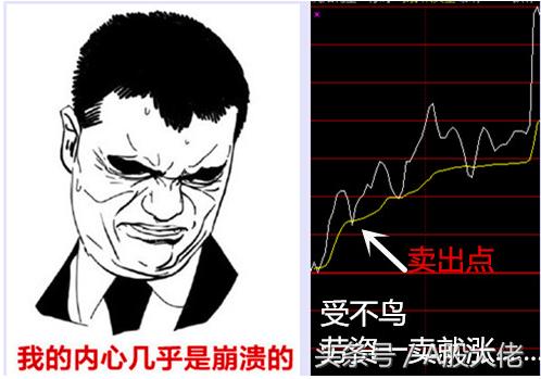 保监会新政策,保监会新规