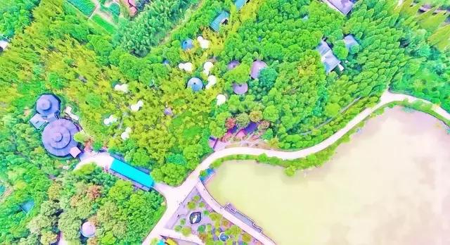 动漫风的美景,美景图动漫