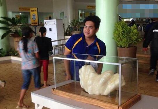 佛教七大珍宝砗磲,佛教七宝贝壳