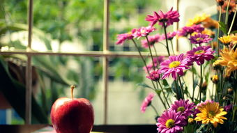 哭过之后要记得笑,哭过以后记得微笑