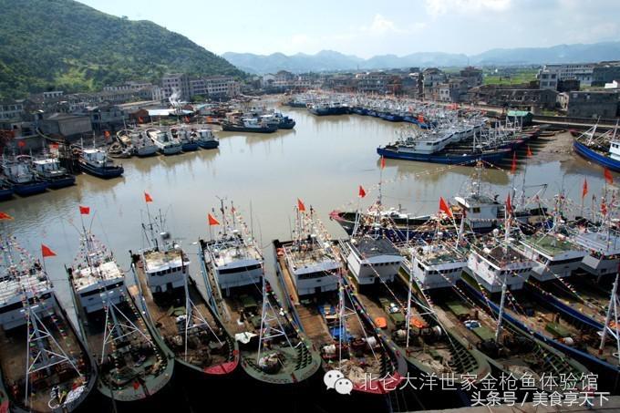 冰鲜海鲜与活的海鲜区别,时下常见的新鲜的海鲜都是哪些