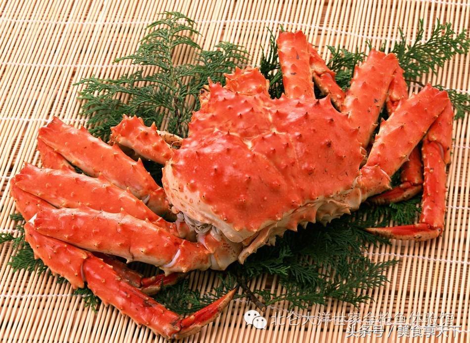 冰鲜海鲜与活的海鲜区别,时下常见的新鲜的海鲜都是哪些