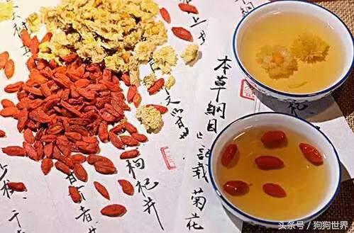 狗狗老是有泪痕是什么品种,狗狗产生泪痕的原因及解决方法