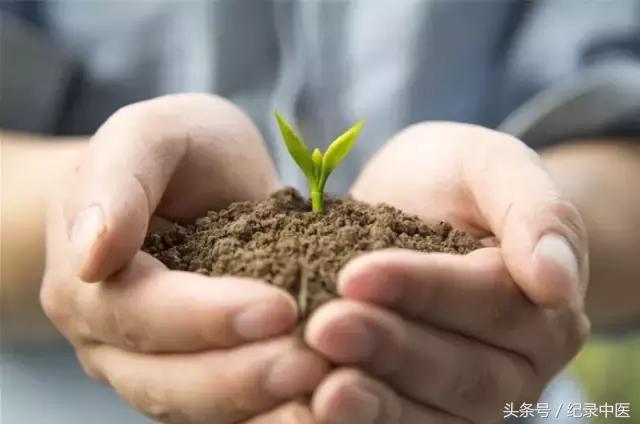 汪慧敏浙江中医药,汪慧敏医师