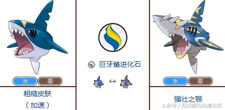 口袋妖怪xy有mega进化吗,口袋妖怪xymega进化图