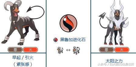 口袋妖怪xy有mega进化吗,口袋妖怪xymega进化图